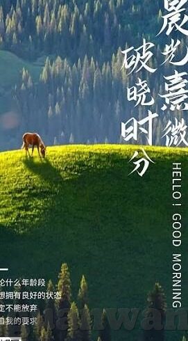 成人国外视频-成人国外视频，网络文化中的一抹复杂色彩