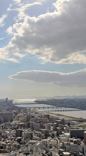 类似麻豆传媒的app-净土与迷雾，深度剖析网络色情APP的隐秘世界