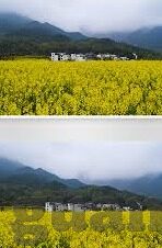 麻豆日记黄瓜视频下载-麻豆日记-黄瓜视频，记录生活逸事与小确幸