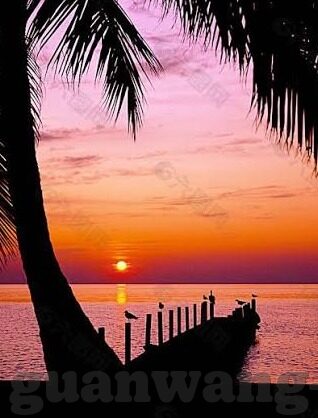 糖心app怎么玩的-糖心app畅玩指南，解锁互动娱乐新体验